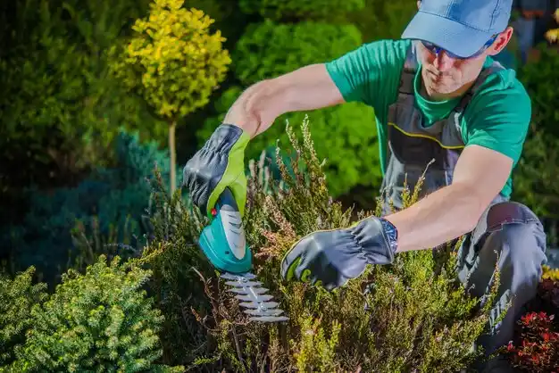 landscaping services Pioneer Village